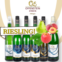 RIESLING! -Weinpaket Weingut Offenstein Erben aus Eltville im Rheingau