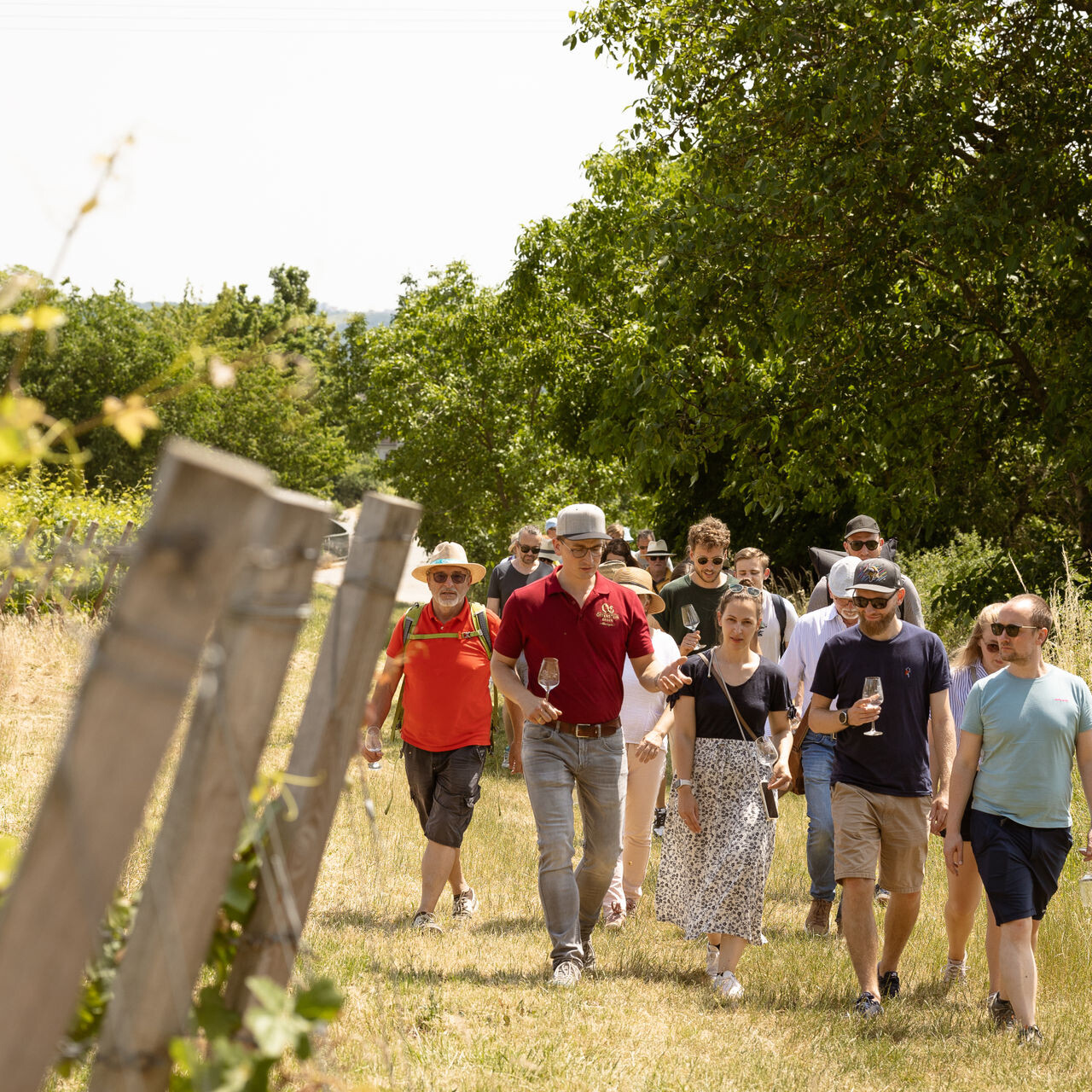 Gruppe von Menschen im Weinberg