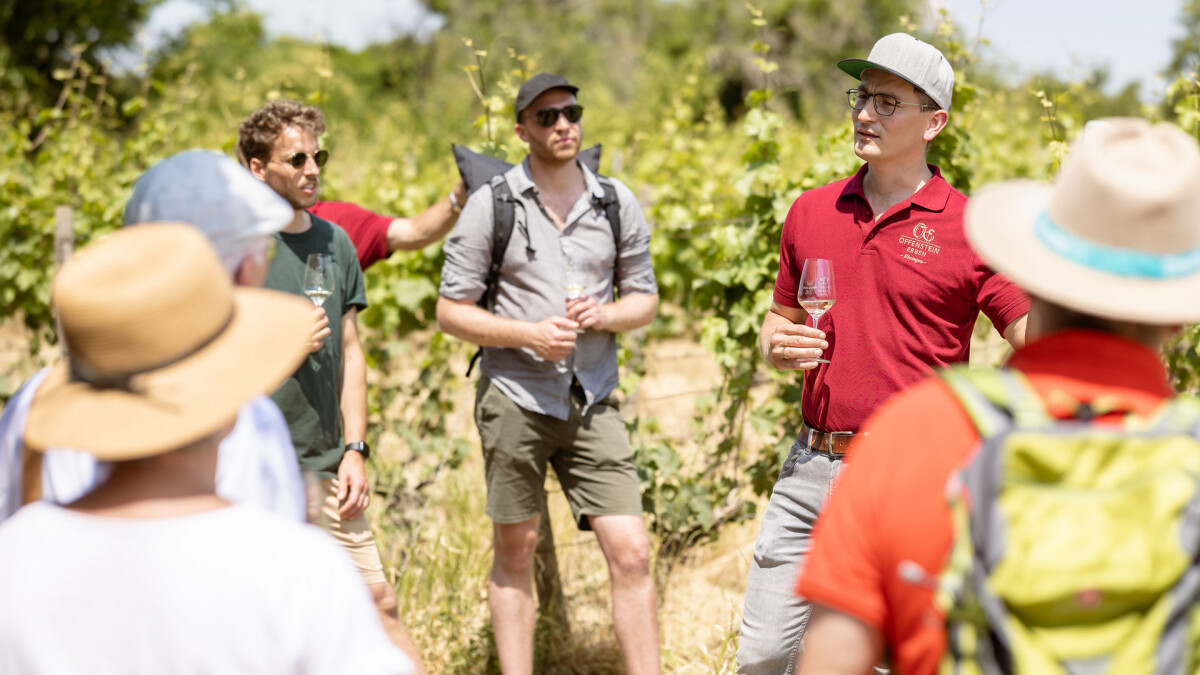 Weinprobe mit Gruppe im Weinberg