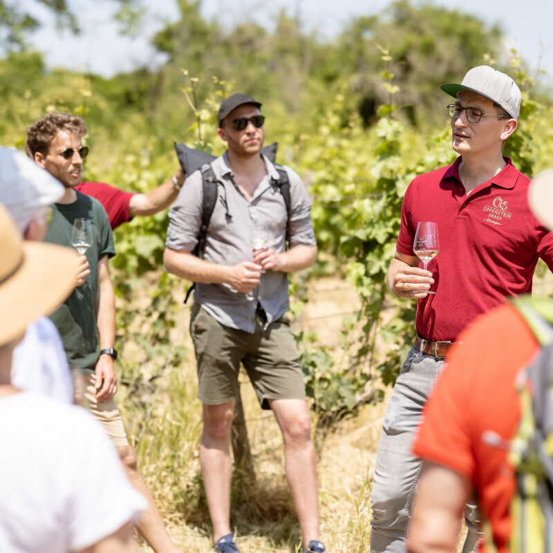 Weinprobe mit Gruppe im Weinberg