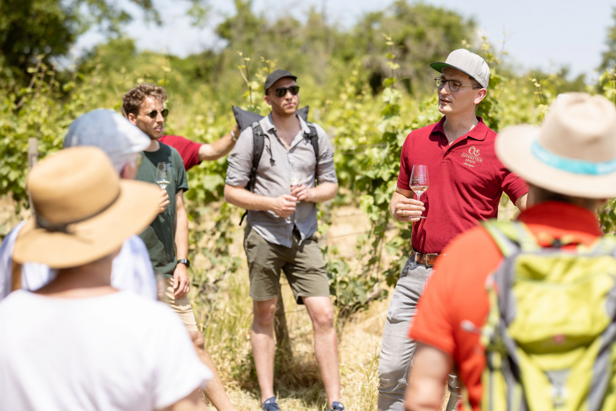 Weinprobe mit Gruppe im Weinberg