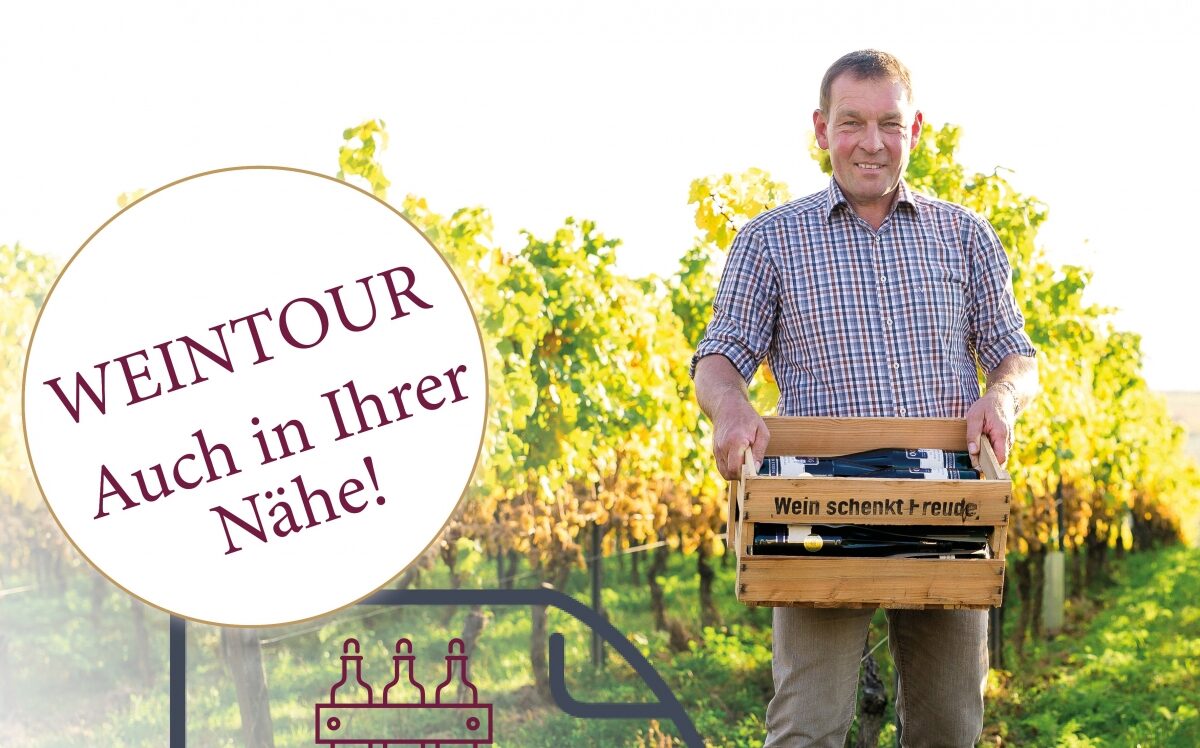 Mann mit Weinkiste im Weinberg
